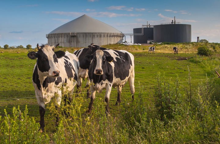 Anaerobic Digestion
