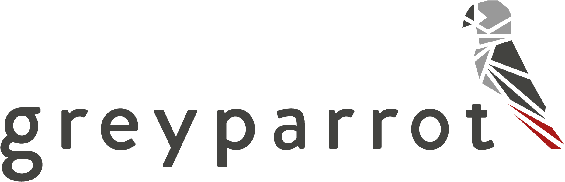 Grey Parrot